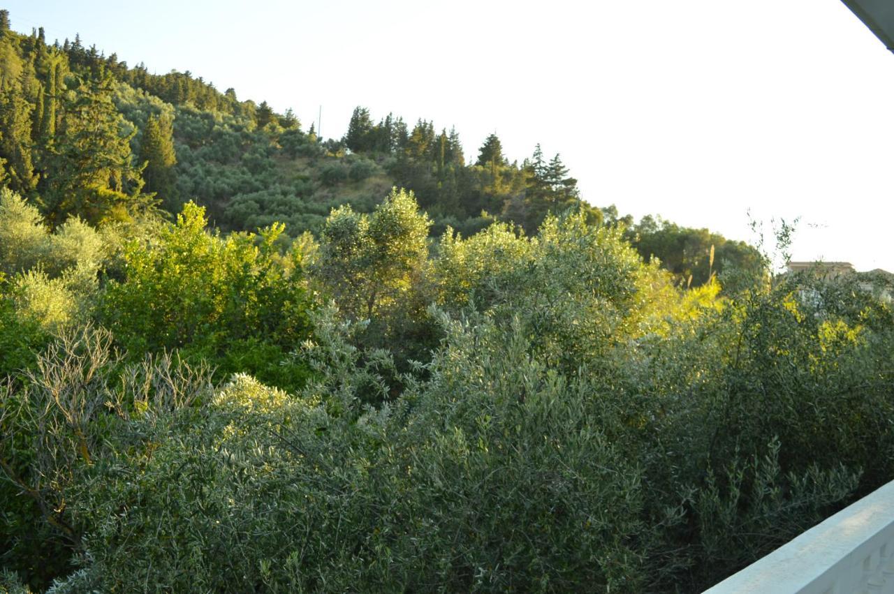Paradise 3*